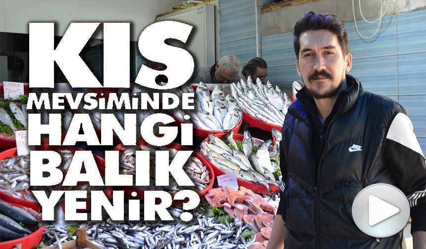 MEVSİMİNİN EN LEZZETLİ BALIKLARI HAMSİ VE SARDALYA