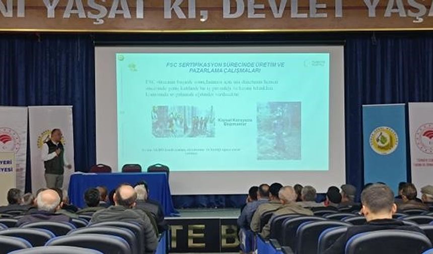 BİLECİK'TE ORMANLAR SERTİFİKALANIYOR