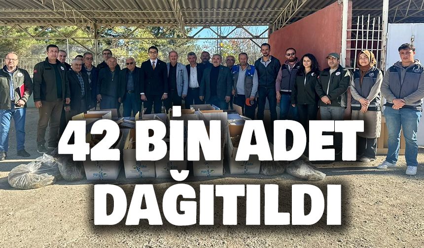 BİLECİK'TE 42 BİN ADET ÇİLEK FİDESİ DAĞITILDI
