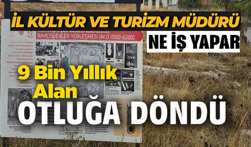 OTLUĞA DÖNEN 9 BİN YILLIK YAŞAM ALANI AÇIK HAVA MÜZESİ OLMASINI İSTEDİLER