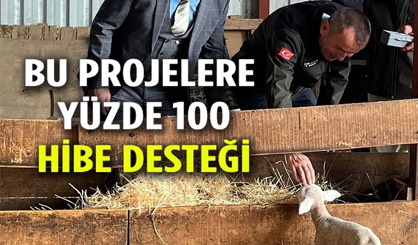 GENÇ GİRİŞİMCİYE YÜZDE 100 HİBE DESTEĞİYLE HAYVANCILIK PROJESİ