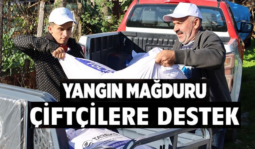 YANGIN MAĞDURU ÇİFTÇİLERE TARIMSAL DESTEK