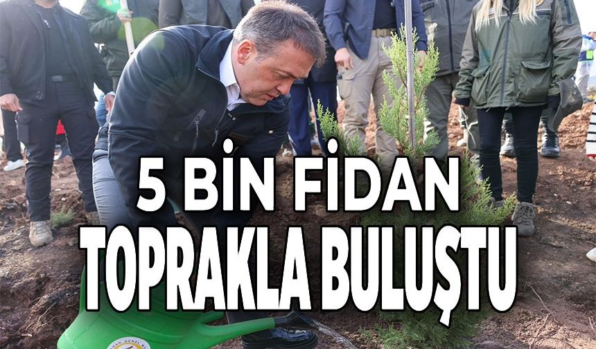ORMAN YANGINLARINDAN ETKİLENEN BÖLGEDE 5 BİN FİDANI TOPRAKLA BULUŞTURULDU