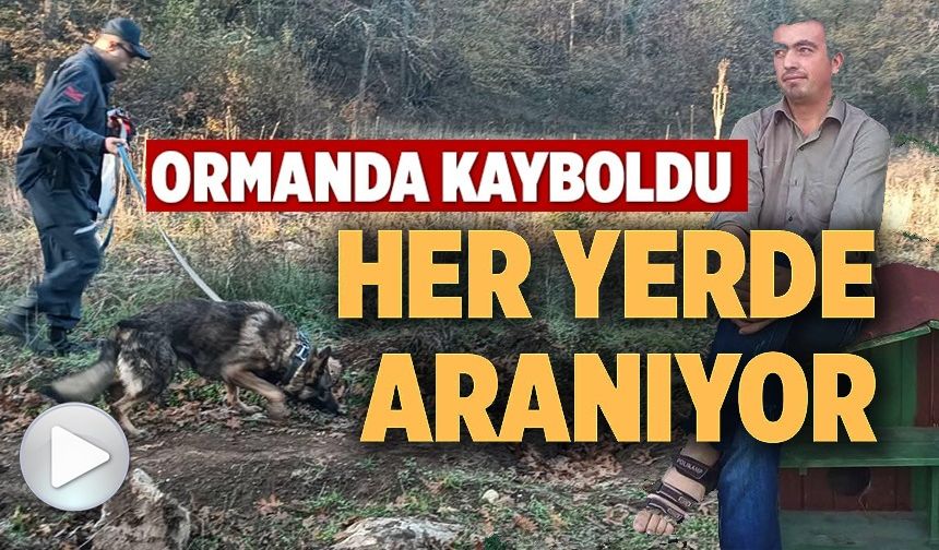 MANTAR TOPLAMAK İÇİN GİTTİĞİ ORMANLIK ALANDA KAYBOLAN ADAMI 96 KİŞİLİK EKİP ARIYOR