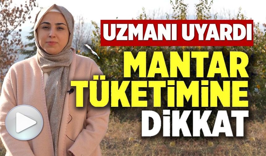 HALK SAĞLIĞI UZMANI DR. KOÇOĞLU DOĞADA YETİŞEN MANTARLARA DİKKATİ ÇEKTİ