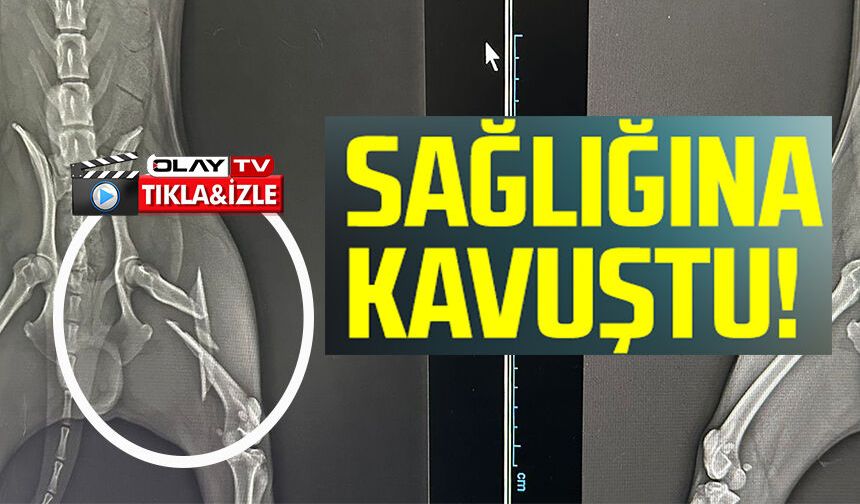 2 SAATLİK AMELİYATLA ESKİ SAĞLIĞINA KAVUŞTU