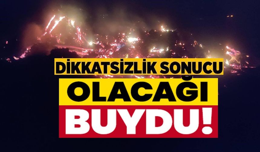 ÇÜRÜMÜŞ AĞAÇ VE KÖKLER YAKILIRKEN ALEVLER KONTROLDEN ÇIKTI