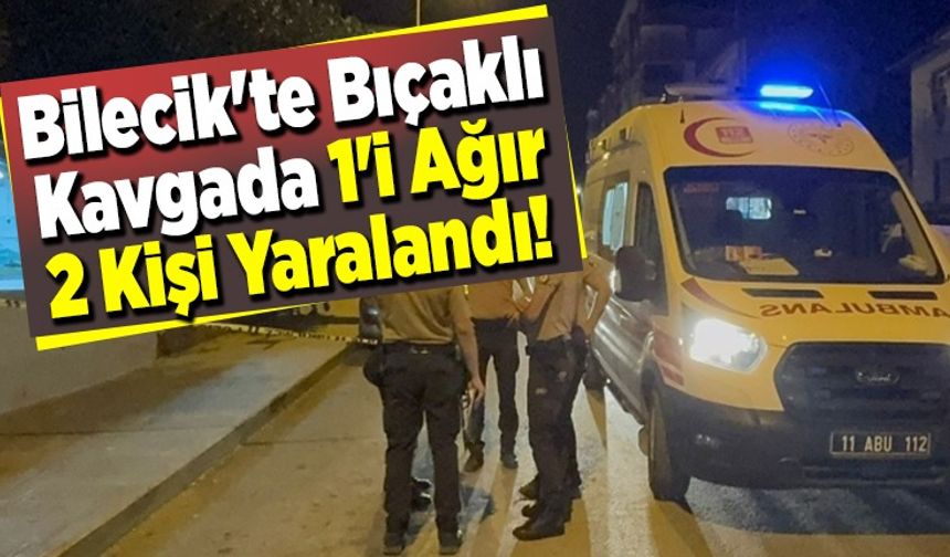 BİLECİK'TE YAN BAKMA KAVGASINDA KAN DÖKÜLDÜ