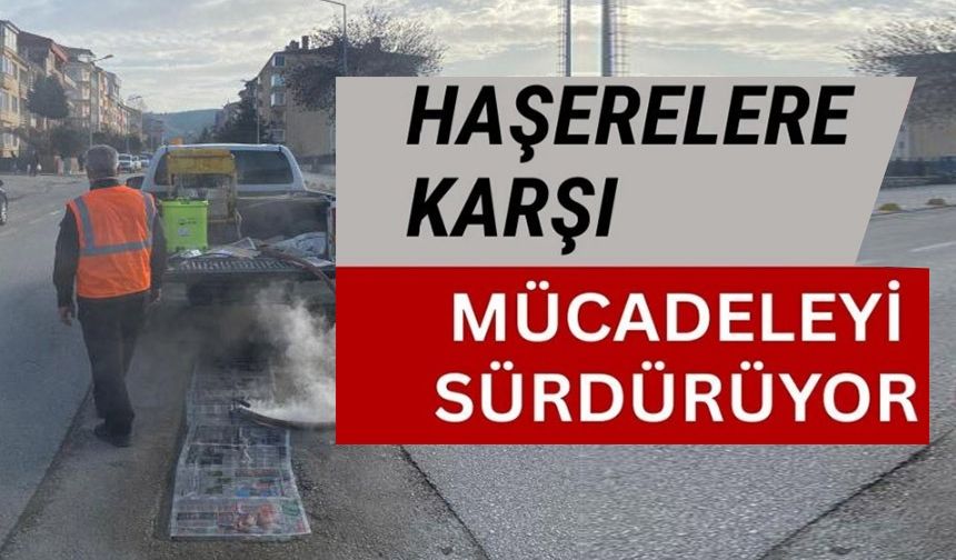 HAŞERELERE KARŞI KIŞLIK MÜCADELE