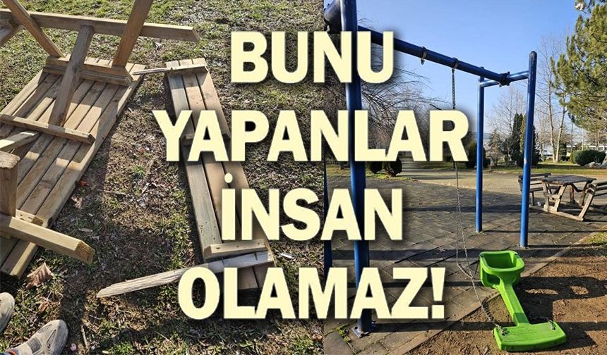 KAMUYA AİT BANKLARA ZARAR VERİLDİ