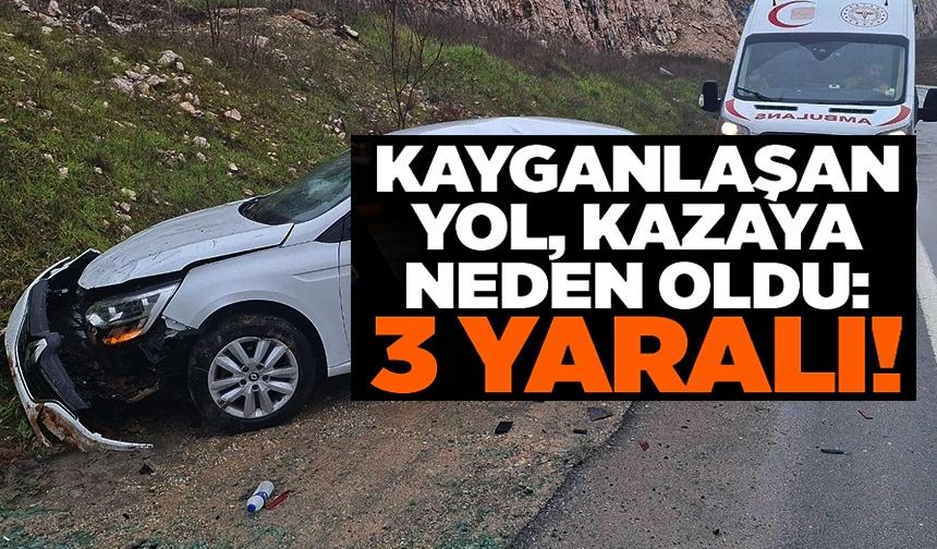 KAYGAN YOL KAZAYA NEDEN OLDU: 2 YARALI