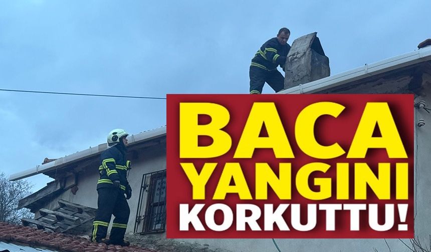 BİLECİK'TE BACA YANGINI