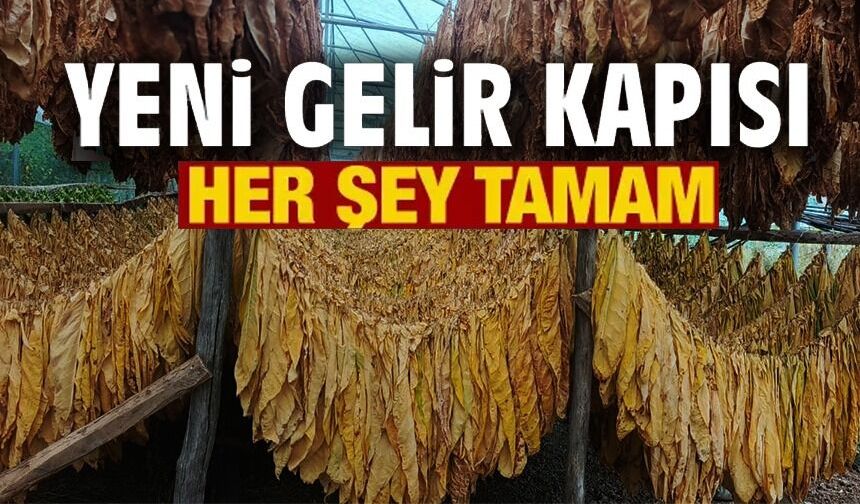 TÜTÜN VE İPEKBÖCEĞİ İÇİN İLK ADIM ATILDI