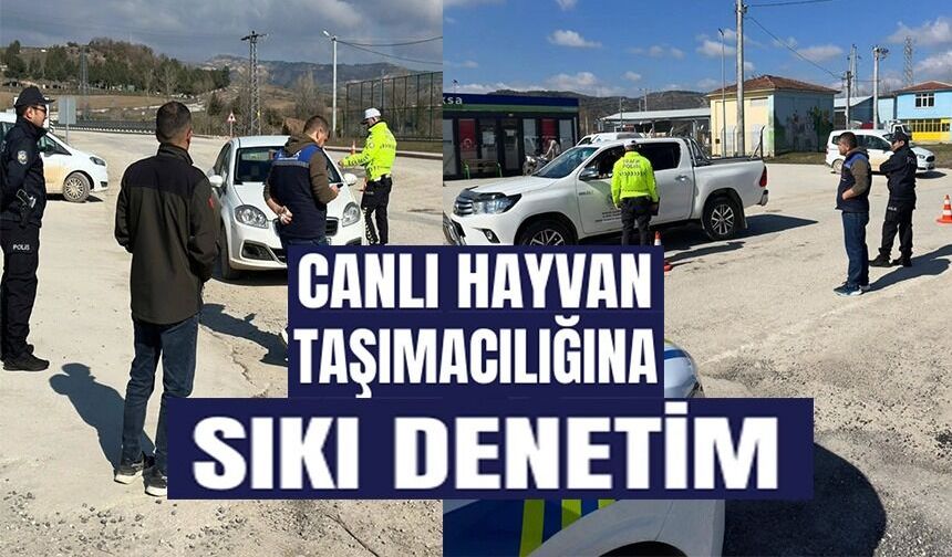 KONTROLSÜZ HAYVAN SEVKİYATLARINA YOL DENETİMİ