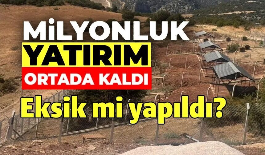 MİLYONLUK SOKAK HAYVANLARI DOĞAL YAŞAM ALANI ORTADA KALDI