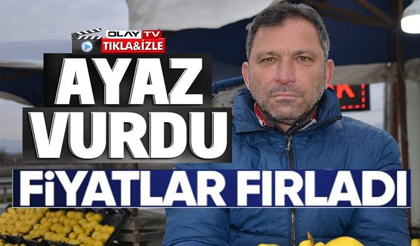 AYVAYI BU SENE AYAZ VURDU, FİYATLAR FIRLADI