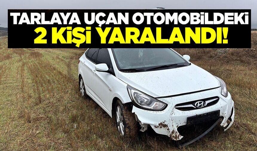 ISLAK YOL KAZAYA NEDEN OLDU: 2 YARALI