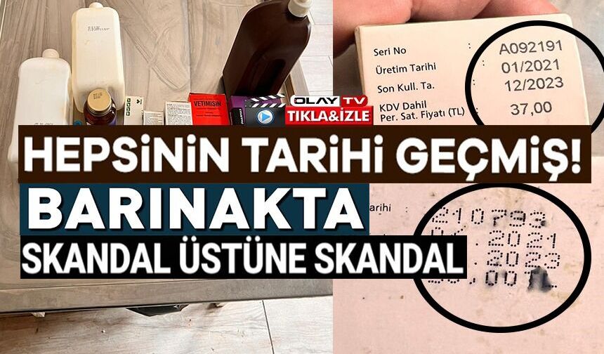 AÇLIKTAN BİRBİRİNİ YİYEN KÖPEKLERİN BAKILDIĞI BARINAKTA BİRÇOK İLACIN TARİHİNİN GEÇTİĞİ BELİRLENDİ