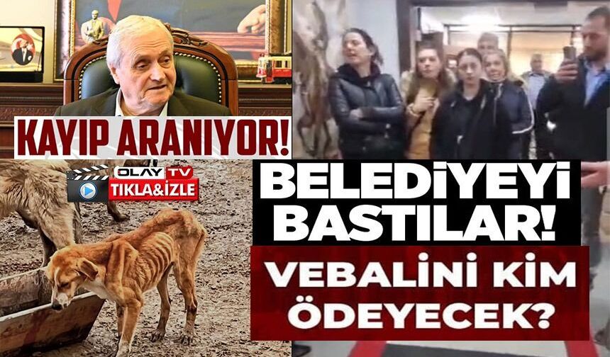 HAYVAN BARINAĞINDAKİ ŞOK GÖRÜNTÜLER SONRASI HAYVANSEVERLER BELEDİYEYİ BASTI