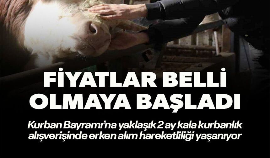 FİYATLAR BELLİ OLMAYA BAŞLADI