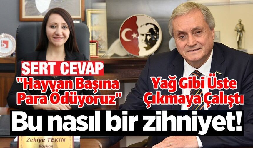 BAŞKAN TEKİN'DEN BAŞKAN BAKKALCIOĞLU SERT CEVAP