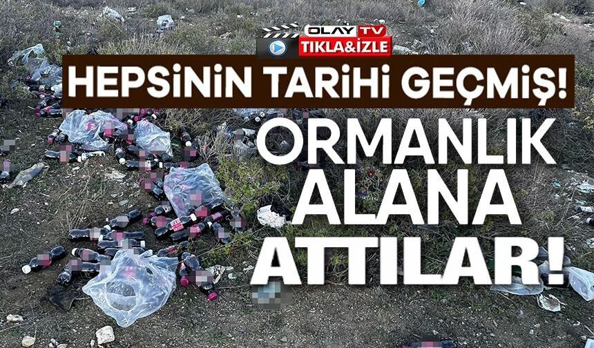 TARİHİ GEÇMİŞ YÜZLERCE ŞALGAM SUYU ŞİŞESİNİ ORMANLIK ALANA ATTILAR