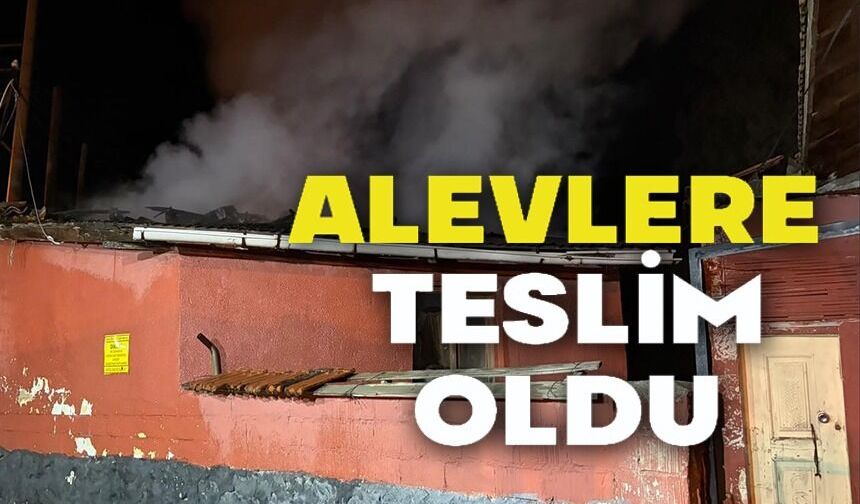 DUMANI GÖRÜP TERK ETTİĞİ EVİ ALEVLERE TESLİM OLDU