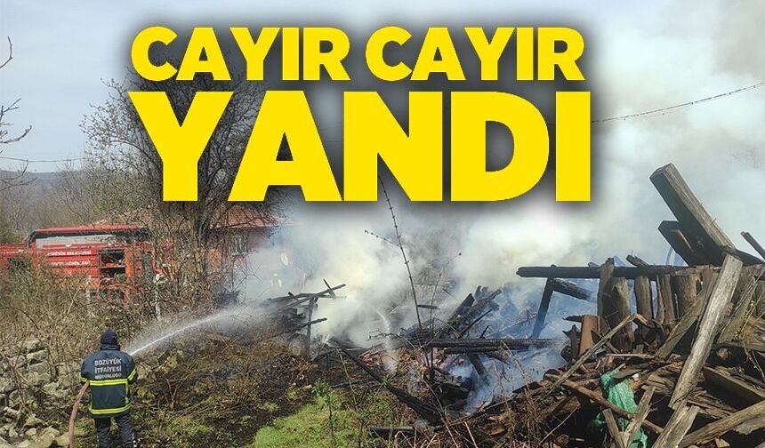 ARAÇ YANGINI ODUNLUĞA SIÇRADI