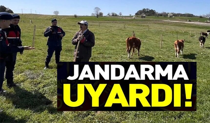 HAYVAN HIRSIZLIĞI VE DOLANDIRICILIK UYARISI