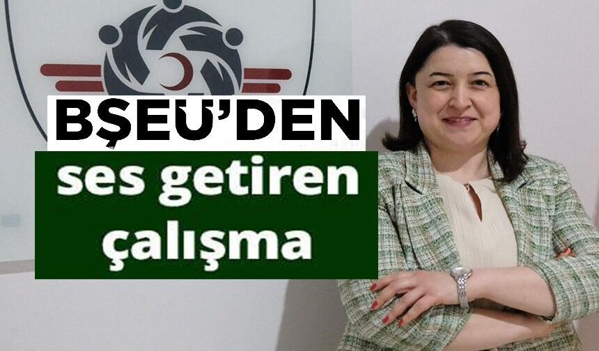 BŞEÜ'DEN HEMŞİRELİK EĞİTİMİNDE ULUSLARARASI ARENADA SES GETİREN ÇALIŞMA