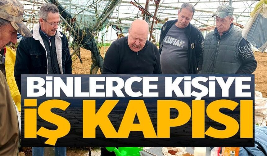 TÜTÜN PAZARYERİ'NİN GEÇİM KAPISI OLUYOR