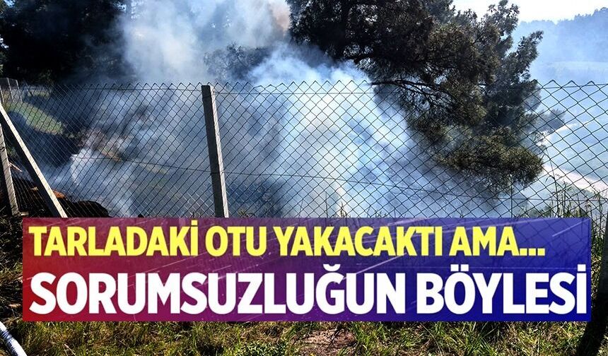 TARLASINDAKİ OTLARI TEMİZLERKEN ORMANLIK ALANI YAKTI