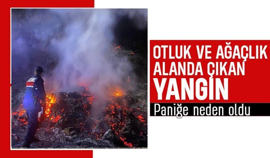 OTLUK ALANDA ÇIKAN YANGIN KORKUTTU