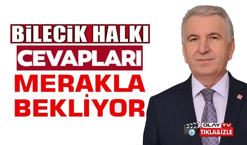 CHP'Lİ İL GENEL MECLİS ÜYELERİ PELİTÖZÜ GÖLPARK'I SORDU