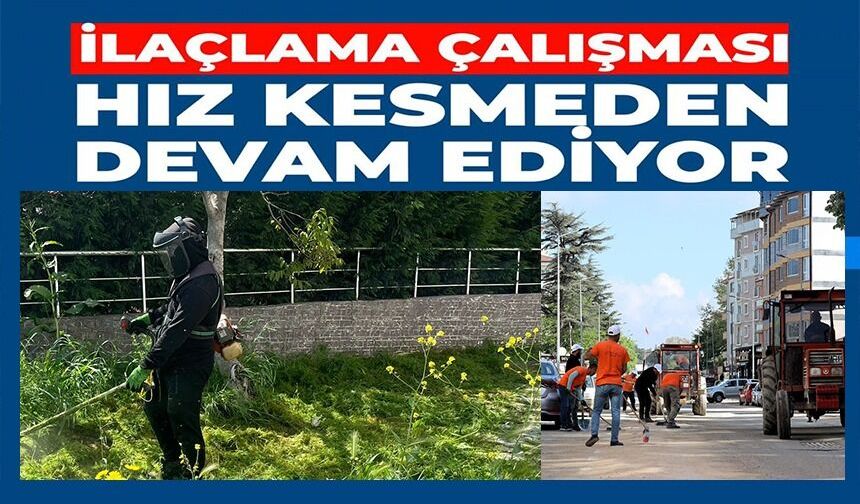 ÇİM BİÇME VE İLAÇLAMA ÇALIŞMALARI HIZ KAZANDI