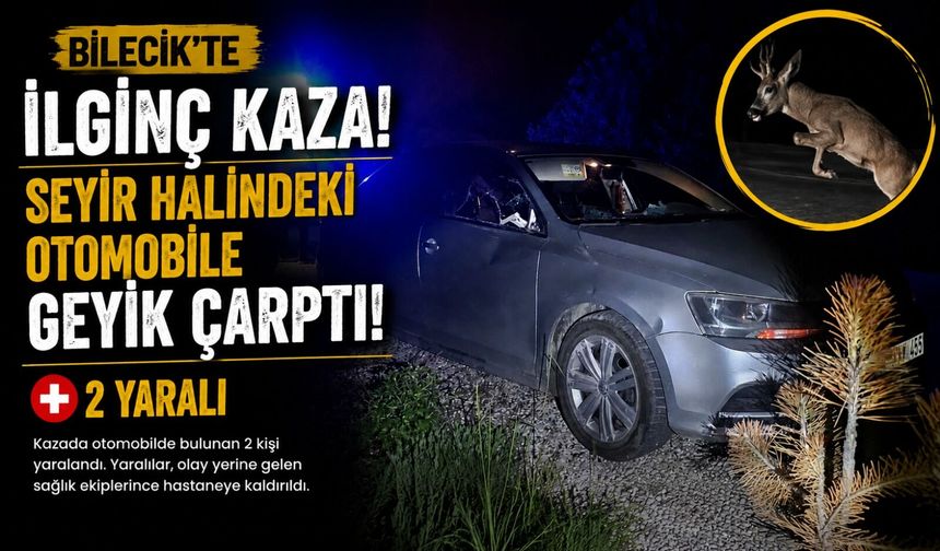 SEYİR HALİNDEKİ OTOMOBİLE GEYİK ÇARPTI: 2 YARALI