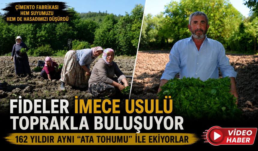 162 YILDIR AYNI "ATA TOHUMU" İLE EKİYORLAR