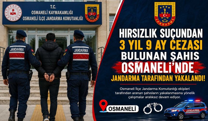 HIRSIZLIK SUÇUNDAN 3 YIL 9 AY CEZASI BULUNAN ŞAHIS YAKALANDI