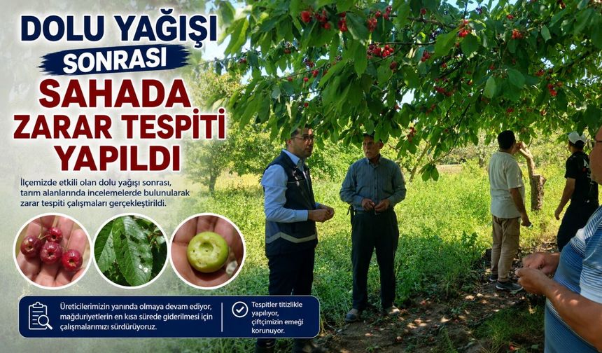 DOLU YAĞIŞI SONRASI SAHADA ZARAR TESPİTİ YAPILDI