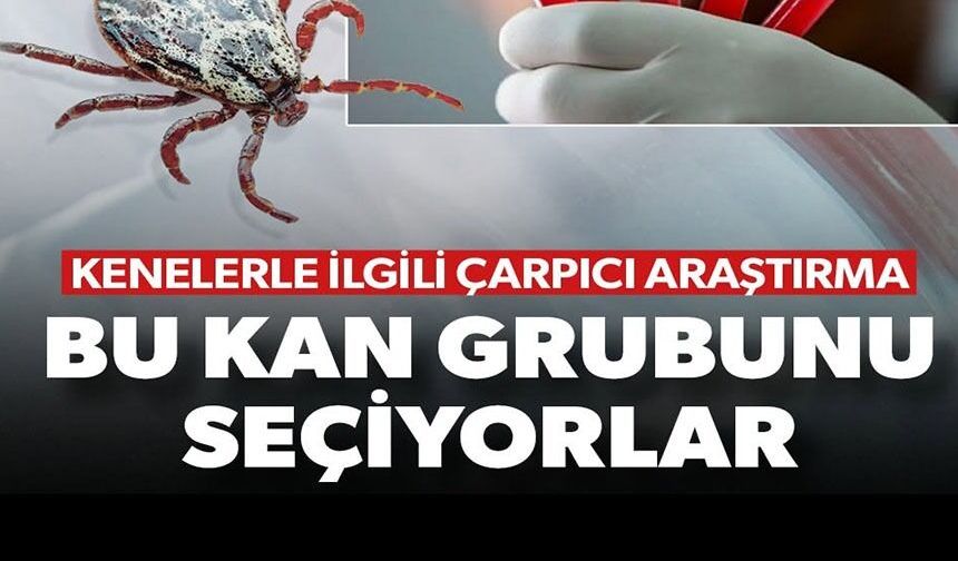 BU KAN GRUBUNU SEÇİYORLAR