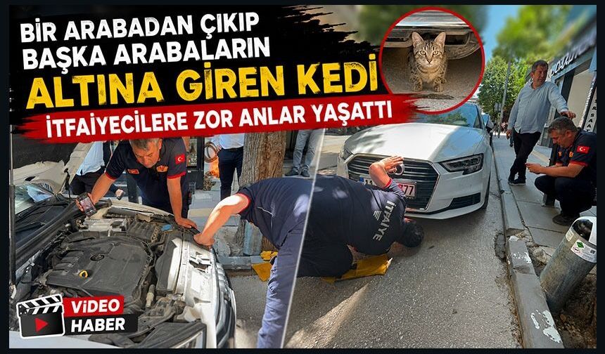 BİR ARABADAN ÇIKIP BAŞKA ARABALARIN ALTINA GİREN KEDİ İTFAİYECİLERE ZOR ANLAR YAŞATTI