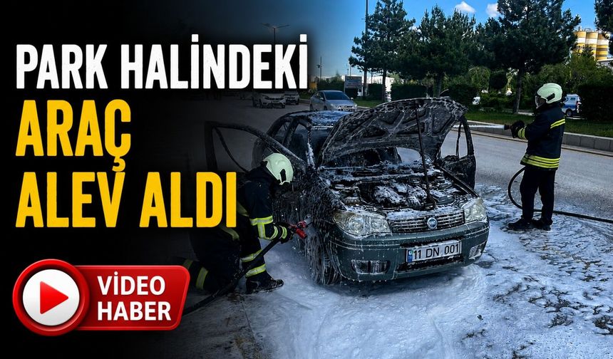 PARK HALİNDEKİ ARAÇ ALEV ALDI