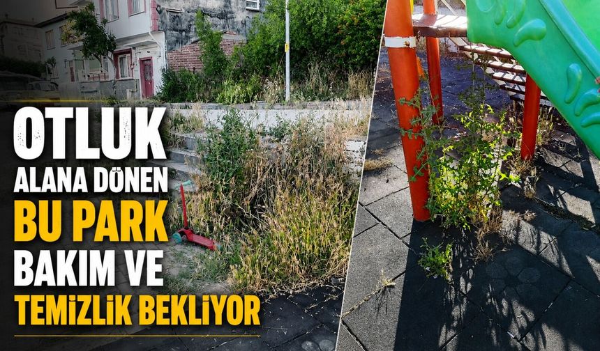 OTLUK ALANA DÖNEN BU PARK BAKIM VE TEMİZLİK BEKLİYOR