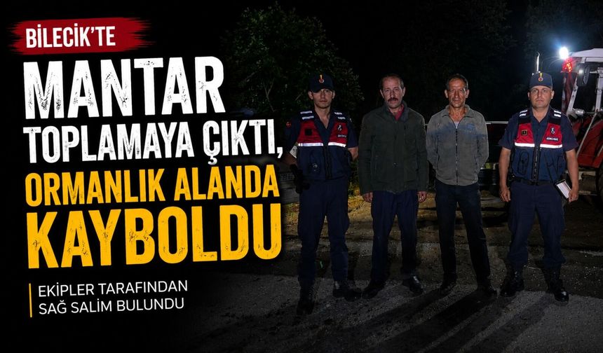 MANTAR TOPLAMAYA ÇIKTI, ORMANLIK ALANDA KAYBOLDU