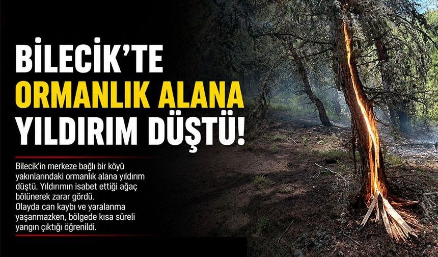 ORMANLIK ALANA YILDIRIM DÜŞTÜ