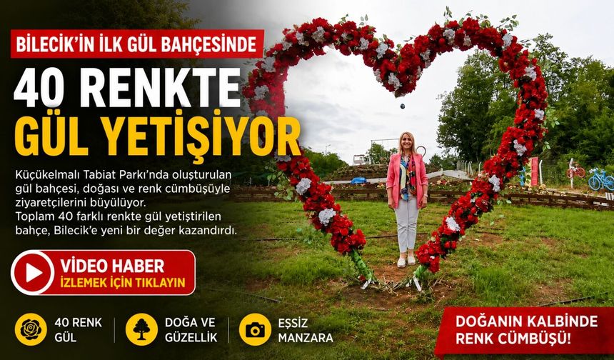 BİLECİK'İN İLK GÜL BAHÇESİNDE 40 RENKTE GÜL YETİŞİYOR