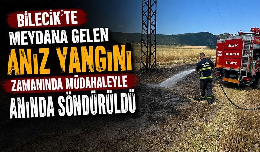 BİLECİK'TE ANIZ YANGINI