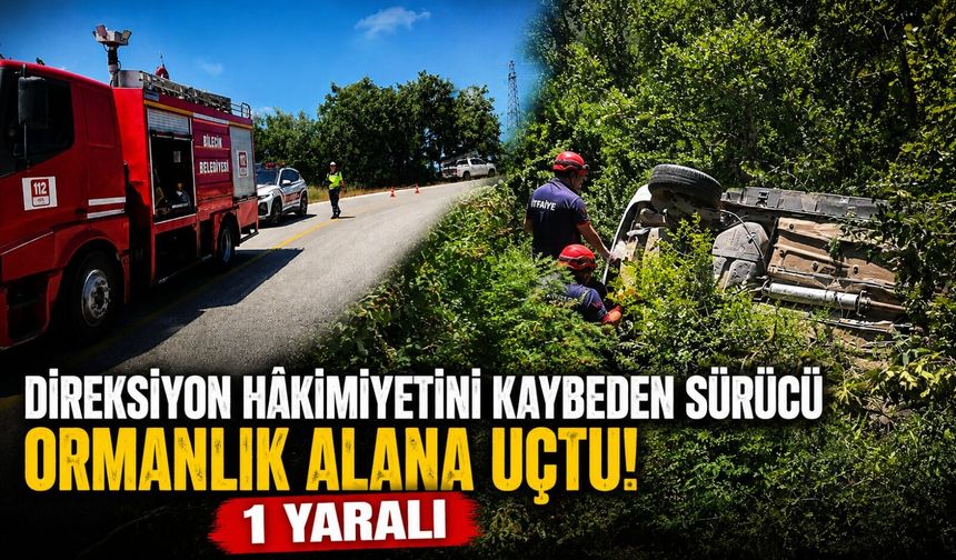 SÜRÜCÜ ORMANLIK ALANA UÇTU: 1 YARALI