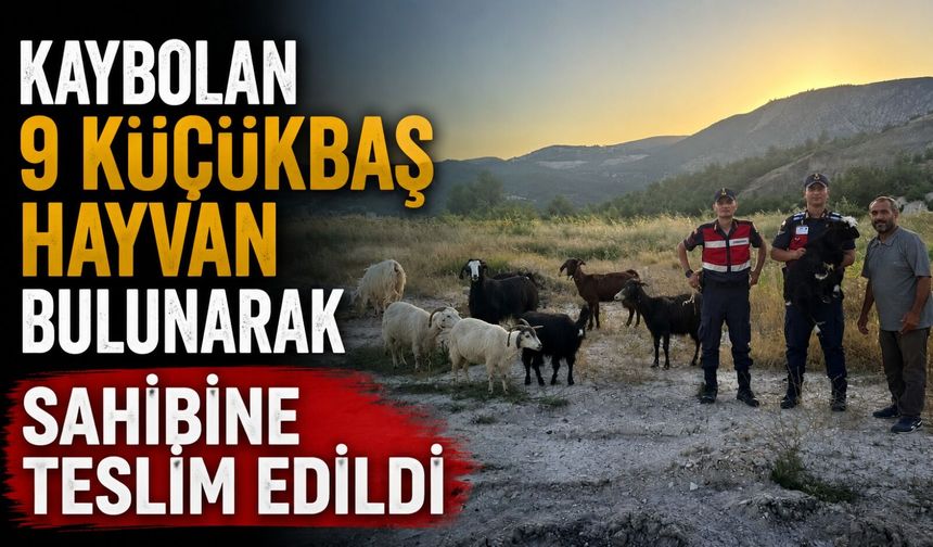 KAYBOLAN 9 KÜÇÜKBAŞ HAYVAN BULUNARAK SAHİBİNE TESLİM EDİLDİ