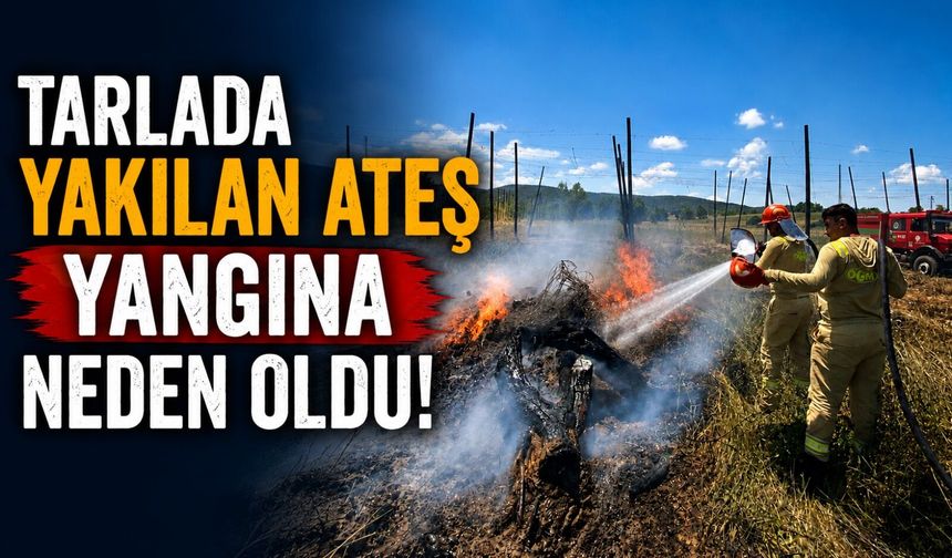 TARLADA YAKILAN ATEŞ YANGINA NEDEN OLDU